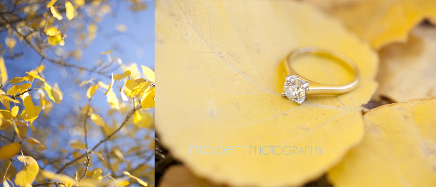 calgaryweddingphoto019