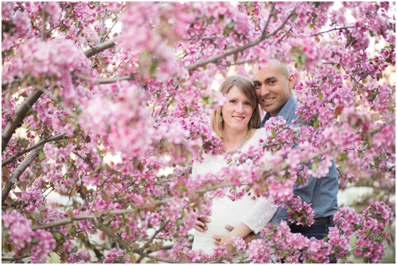 calgary_maternity_photographer005