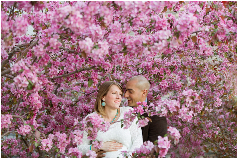 calgary_maternity_photographer009