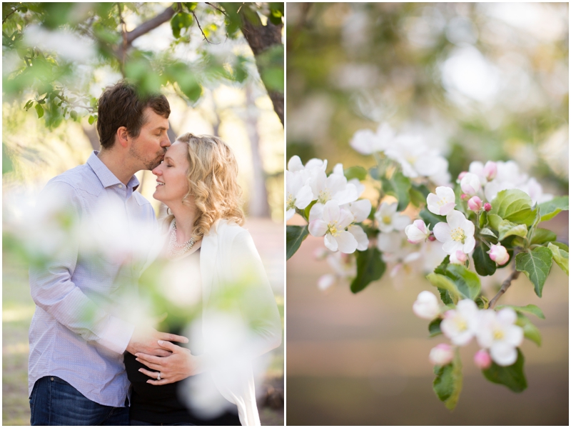 calgary_maternity_photographer010