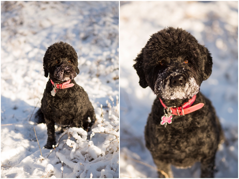 calgary_engagement_photographer004