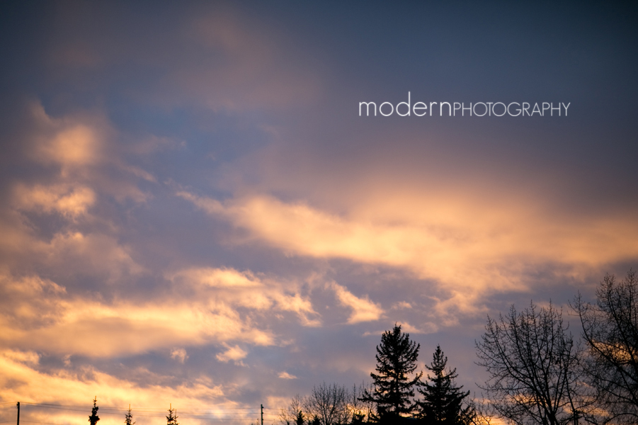 Ashley & Justin -Married! {Calgary Golf and country club, Calgary wedding photographer}