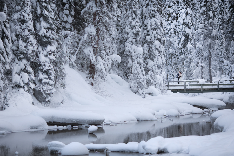 2014::: Oh what a year! {Calgary, Canmore, Banff, Emerald Lake, Phoenix, Edmonton Wedding Photographer}