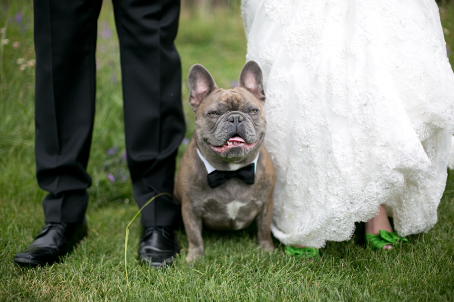 Jessica & Kyle {Canmore, Silvertip wedding photographer}