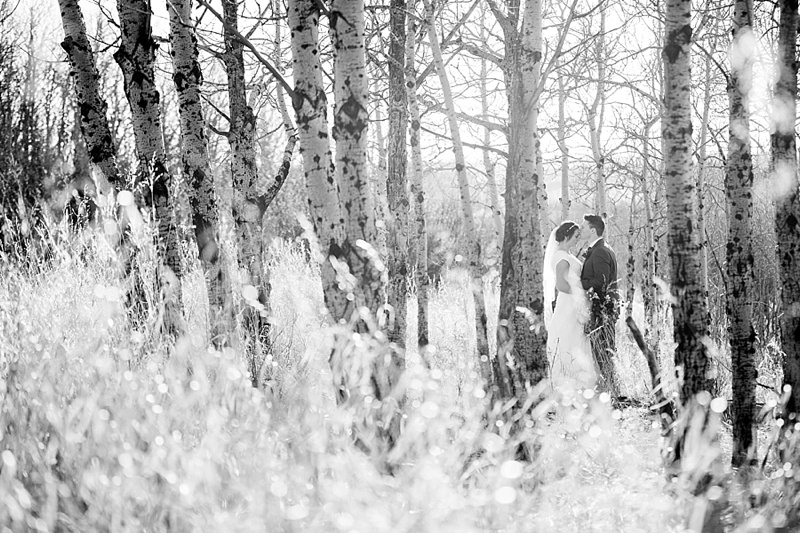 Mormon wedding photographer